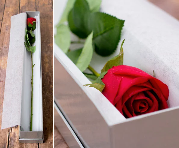 Comment offrir des roses : 4 façons originales d'offrir des roses à votre bien-aimée