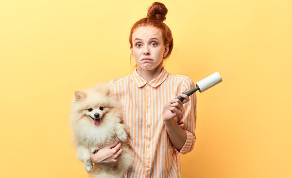 Brosse anti-poils magique : mon avis sur la meilleure brosse pour enlever les poils de chat & chien en 2022