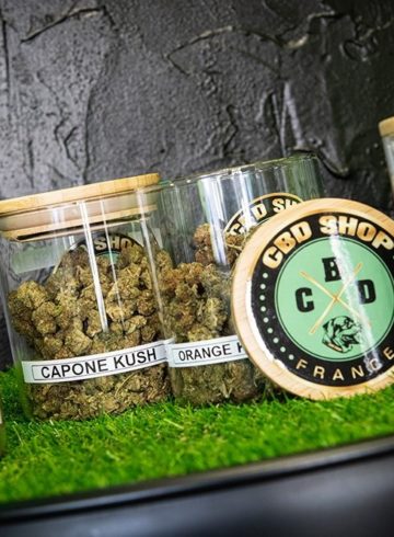 Acheter du CBD à Strasbourg : les meilleures boutiques en 2022