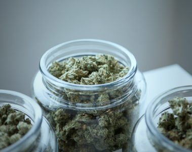 Les avantages médicinaux des graines de marijuana pour votre santé