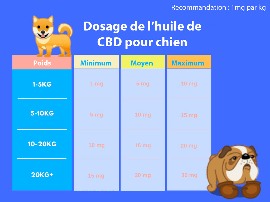 Dosage de l'huile de CBD pour chien stressé