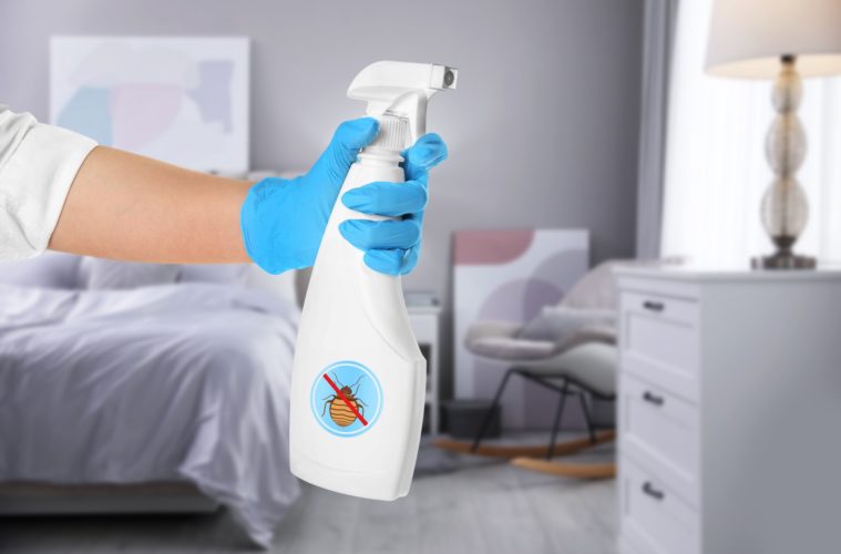 Tuer les punaises de lit pour toujours : enfin la paix !
