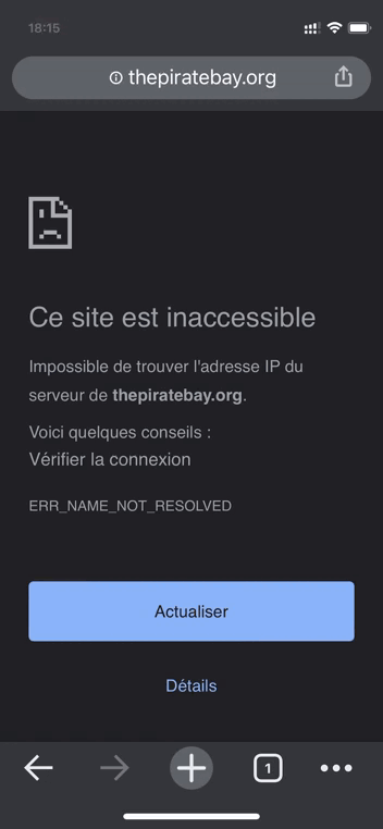 Sans VPN, The Pirate Bay est inaccessible tandis qu'en utilisant un VPN, la nouvelle adresse fonctionne bien
