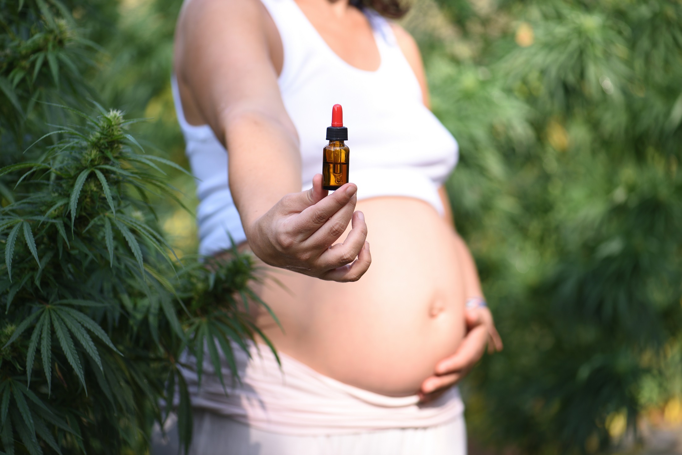 CBD pour une femme enceinte : avantages, risques et recommandations pendant la grossesse en 2023
