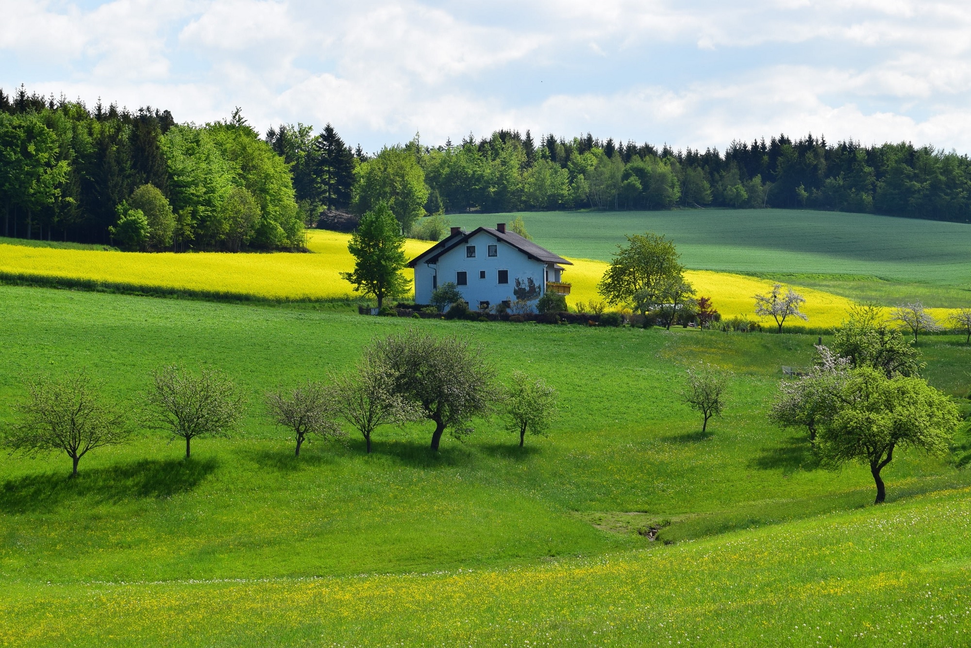 Construire en zone agricole sans être agriculteur : 6 conseils pour vous aider