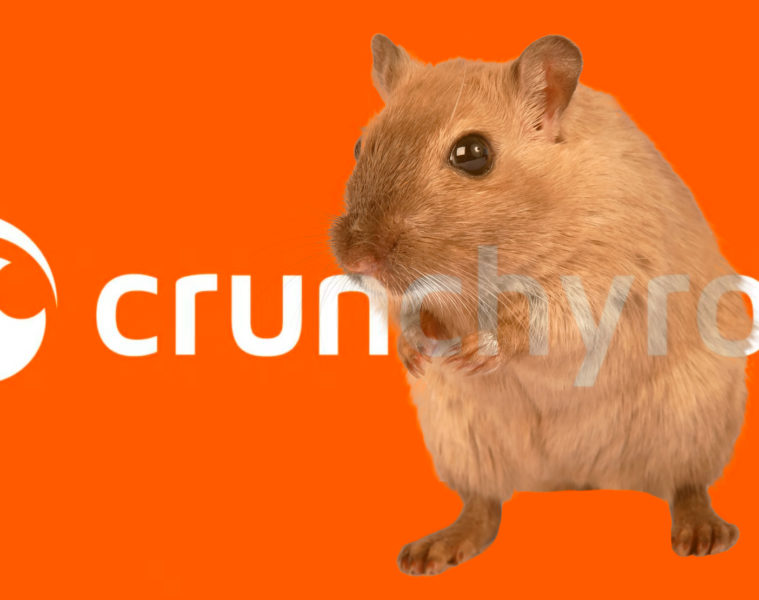 Comment payer Crunchyroll moins cher à 1,24€/mois grâce à la technique du VPN en Turquie en 2023 ?