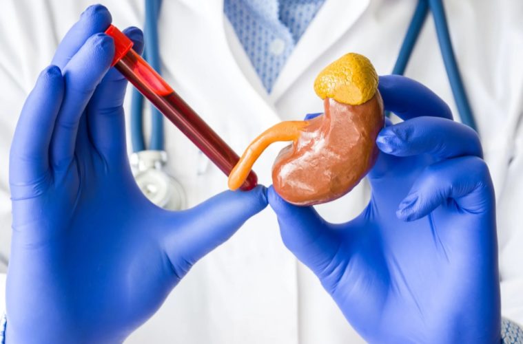 Créatinine : quand s'inquiéter ?