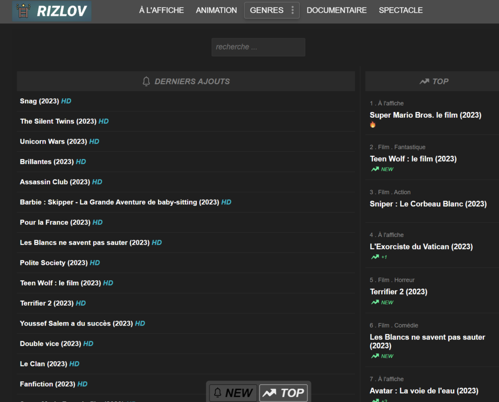 Rizlov ne fonctionne plus ? Tout savoir sur la nouvelle adresse et comment accéder à rizlov.com en 2023 (ex Nofza)