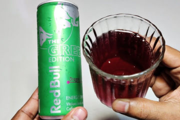 Quel est le goût du nouveau Red Bull vert foncé Green Edition en 2023 ?