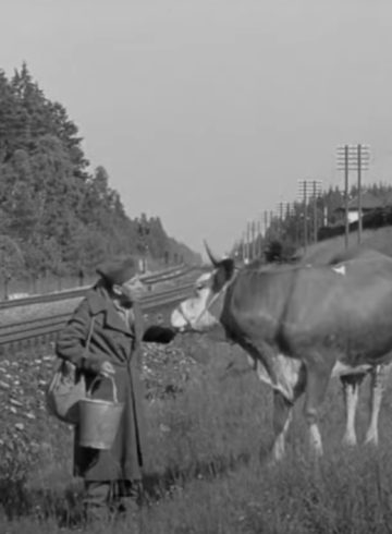 Comment se termine le film La vache et le prisonnier : explication de la fin