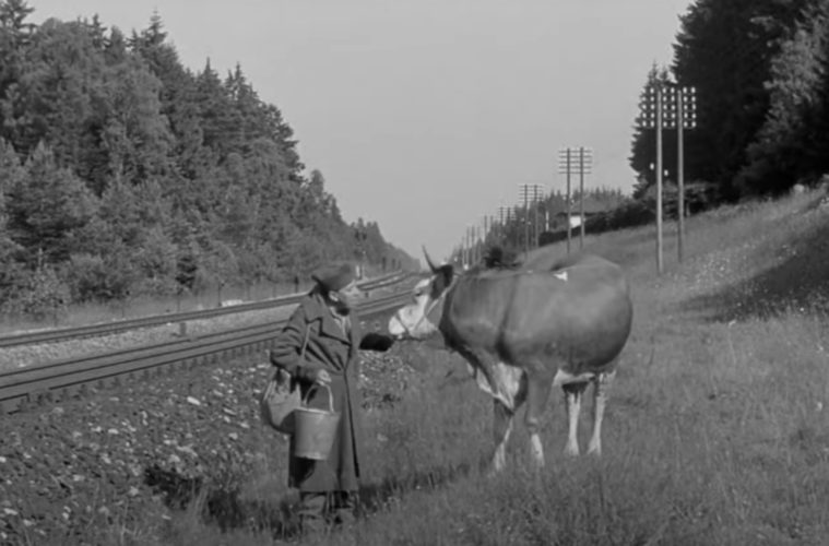 Comment se termine le film La vache et le prisonnier : explication de la fin