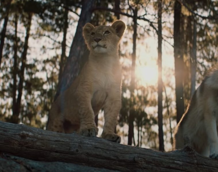 Comment se termine le film Le Loup et le Lion : explication de la fin