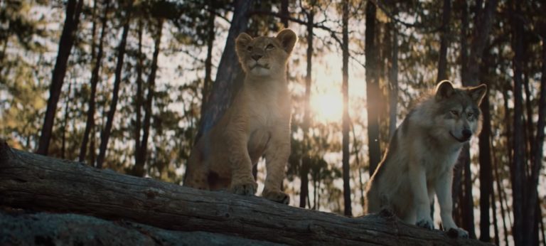 Comment se termine le film Le Loup et le Lion : explication de la fin