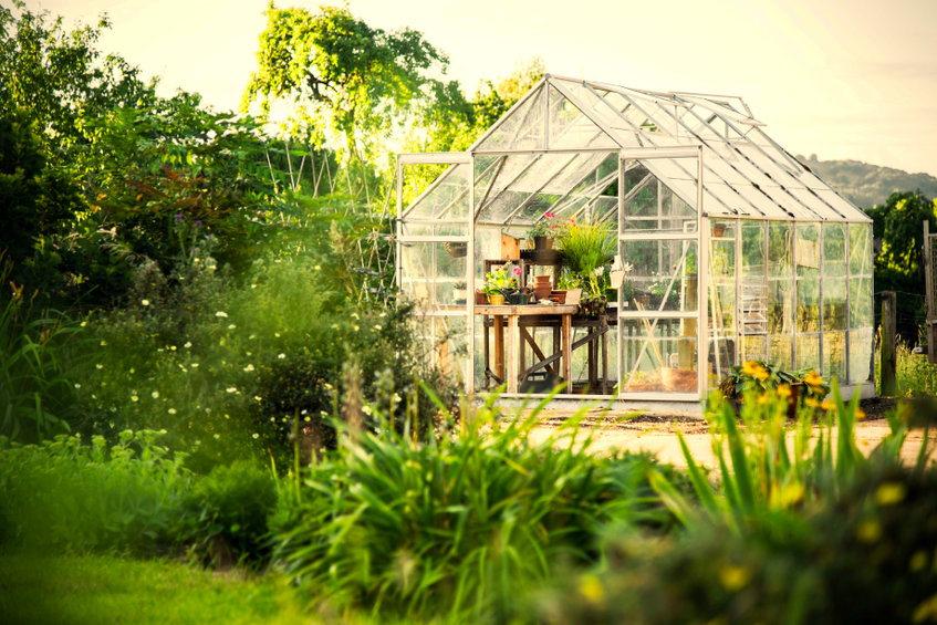 Glass greenhouse