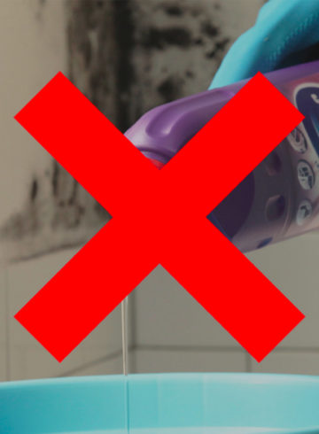 Pourquoi on ne trouve plus de domestos : rupture de stock