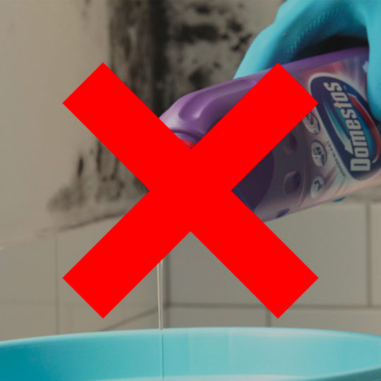 Pourquoi on ne trouve plus de Tampon Jex en 2024