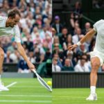 Medvedev vs Alcaraz (1/2 finale Wimbledon) diffusé en direct sur une chaîne TV gratuite