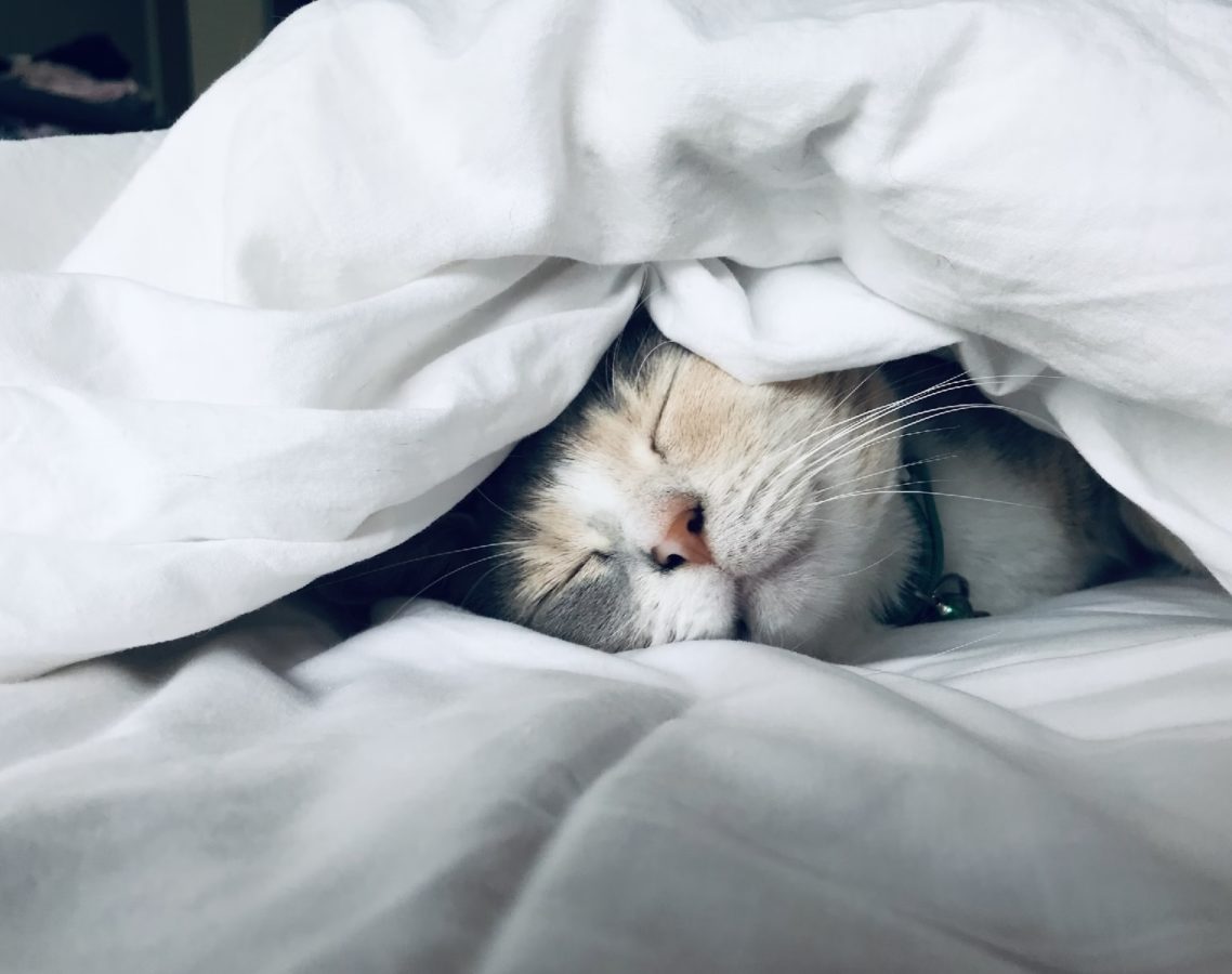 Quelles sont les différentes phases de sommeil et leur importance pour notre santé ?