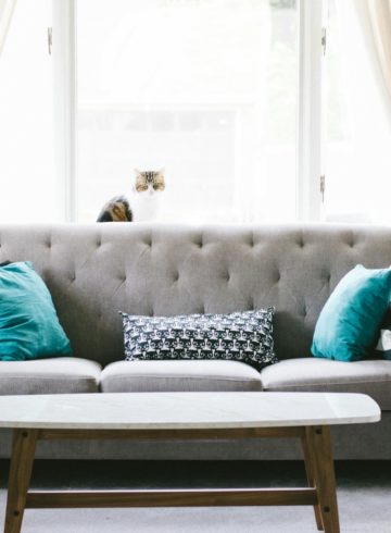 Comment choisir le canapé parfait pour votre salon ?