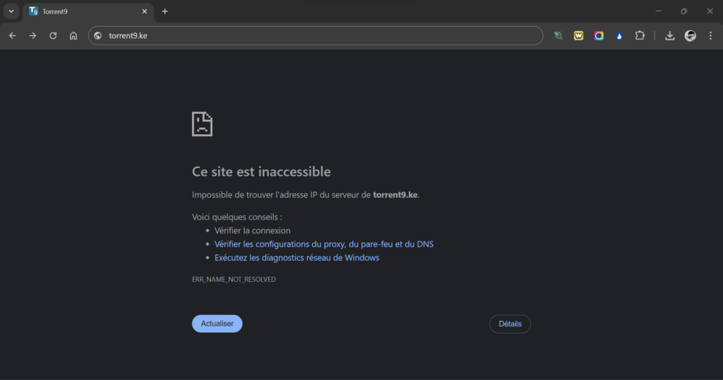 La nouvelle adresse de Torrent9 est souvent bloquée par les autorités