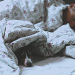 Trouver votre nouveau matelas sur le web sans vous tromper Trouver votre nouveau matelas sur le web sans vous tromper