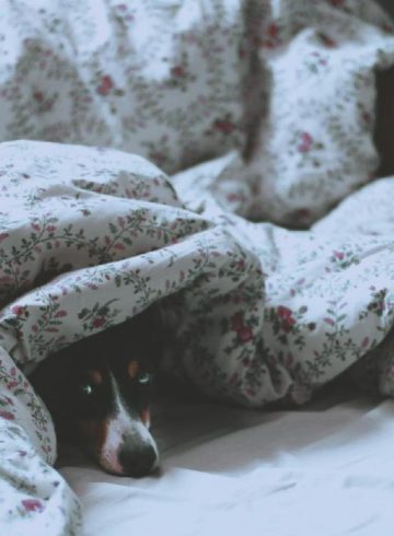 Trouver votre nouveau matelas sur le web sans vous tromper