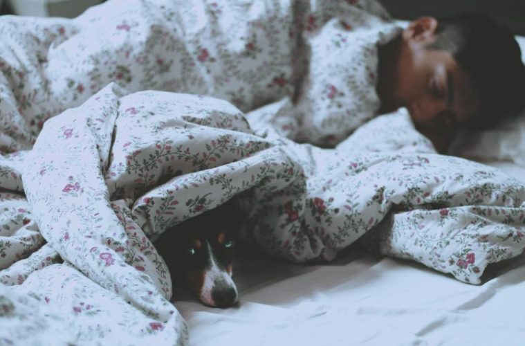 Trouver votre nouveau matelas sur le web sans vous tromper