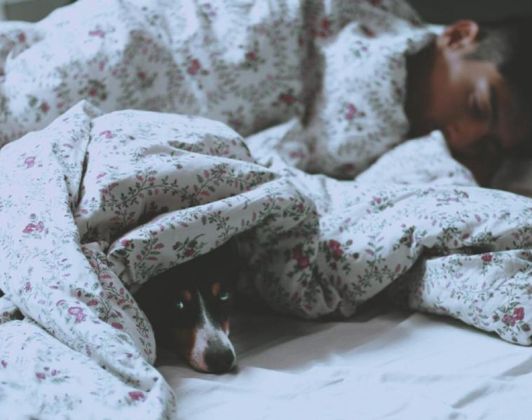 Trouver votre nouveau matelas sur le web sans vous tromper