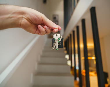 Assurance habitation colocation : obligations & conseils 2025