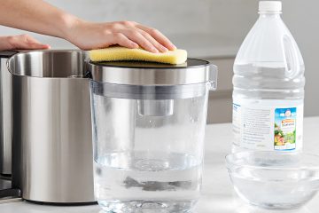 Quelle est la meilleure façon de nettoyer et d’entretenir un distillateur d’eau ?