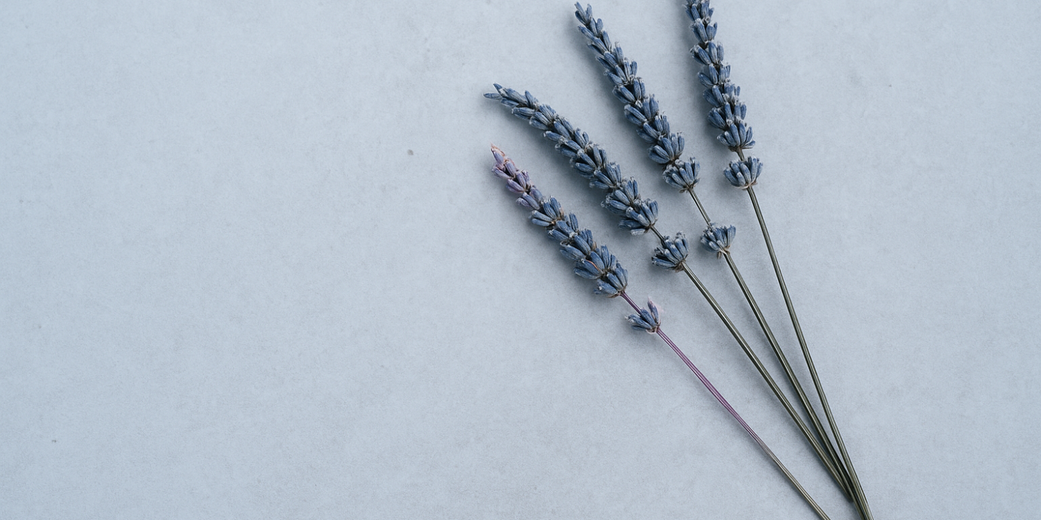 Comment soulager l'anxiété avec des remèdes naturels 