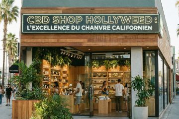 CBD shop Hollyweed - Guide fleurs THCa et avis 2026