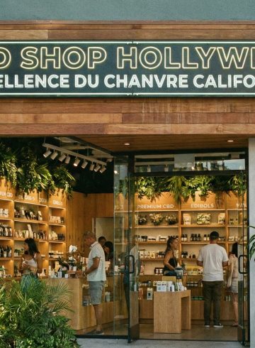 CBD shop Hollyweed - Guide fleurs THCa et avis 2026