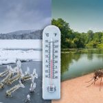Aura-t-on moins de moustiques en 2026 après un hiver glacial ? Pas si sûr…