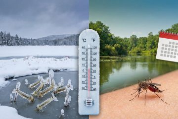 Aura-t-on moins de moustiques en 2026 après un hiver glacial ? Pas si sûr…