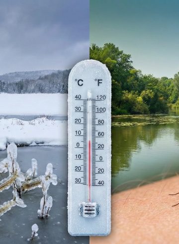 Aura-t-on moins de moustiques en 2026 après un hiver glacial ? Pas si sûr…