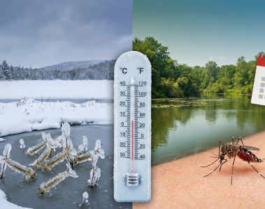 Aura-t-on moins de moustiques en 2026 après un hiver glacial ? Pas si sûr…