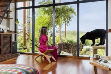 Dormir avec les animaux : vivez une expérience immersive unique à Parrot World