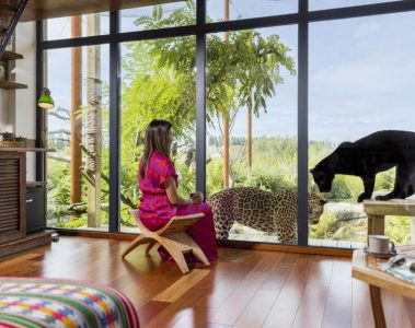 Dormir avec les animaux : vivez une expérience immersive unique à Parrot World