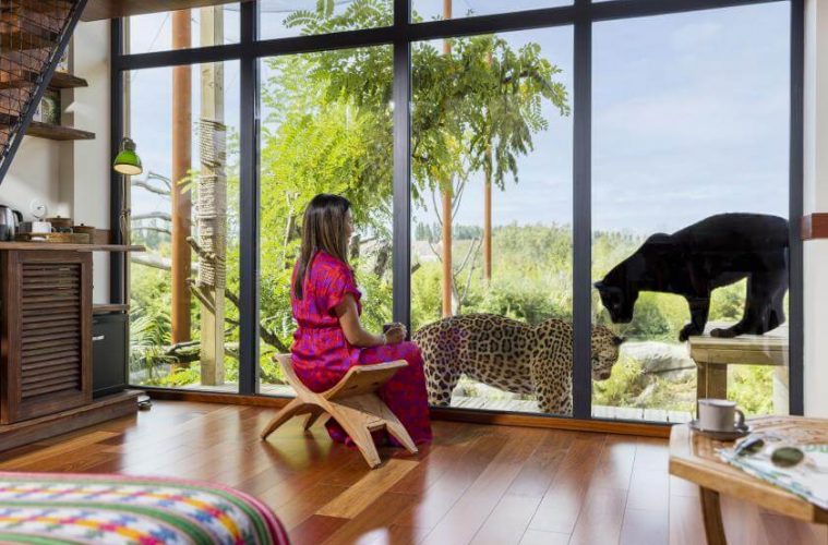 Dormir avec les animaux : vivez une expérience immersive unique à Parrot World