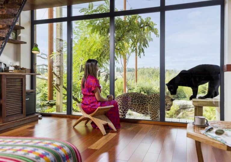 Dormir avec les animaux : vivez une expérience immersive unique à Parrot World