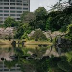 Jardins impériaux de Tokyo et côte de Busan : traditions et modernité en Asie de l’Est