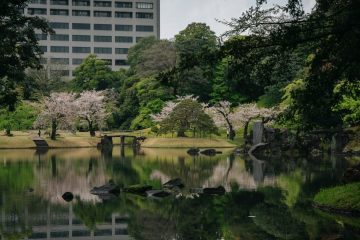 Jardins impériaux de Tokyo et côte de Busan : traditions et modernité en Asie de l’Est