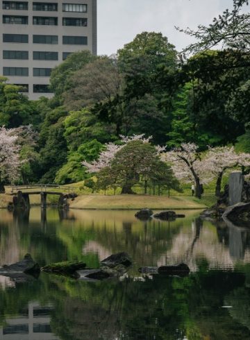 Jardins impériaux de Tokyo et côte de Busan : traditions et modernité en Asie de l’Est