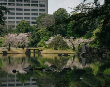 Jardins impériaux de Tokyo et côte de Busan : traditions et modernité en Asie de l’Est