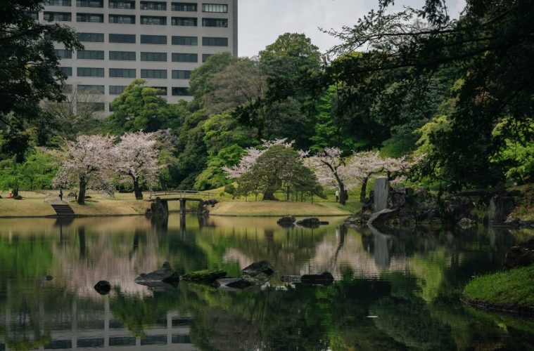 Jardins impériaux de Tokyo et côte de Busan : traditions et modernité en Asie de l’Est