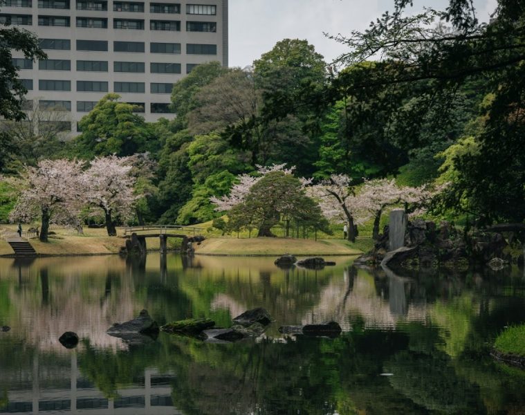 Jardins impériaux de Tokyo et côte de Busan : traditions et modernité en Asie de l’Est