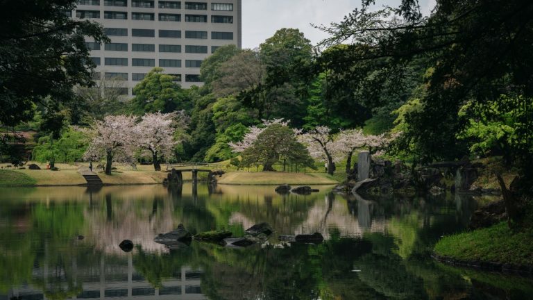 Jardins impériaux de Tokyo et côte de Busan : traditions et modernité en Asie de l’Est